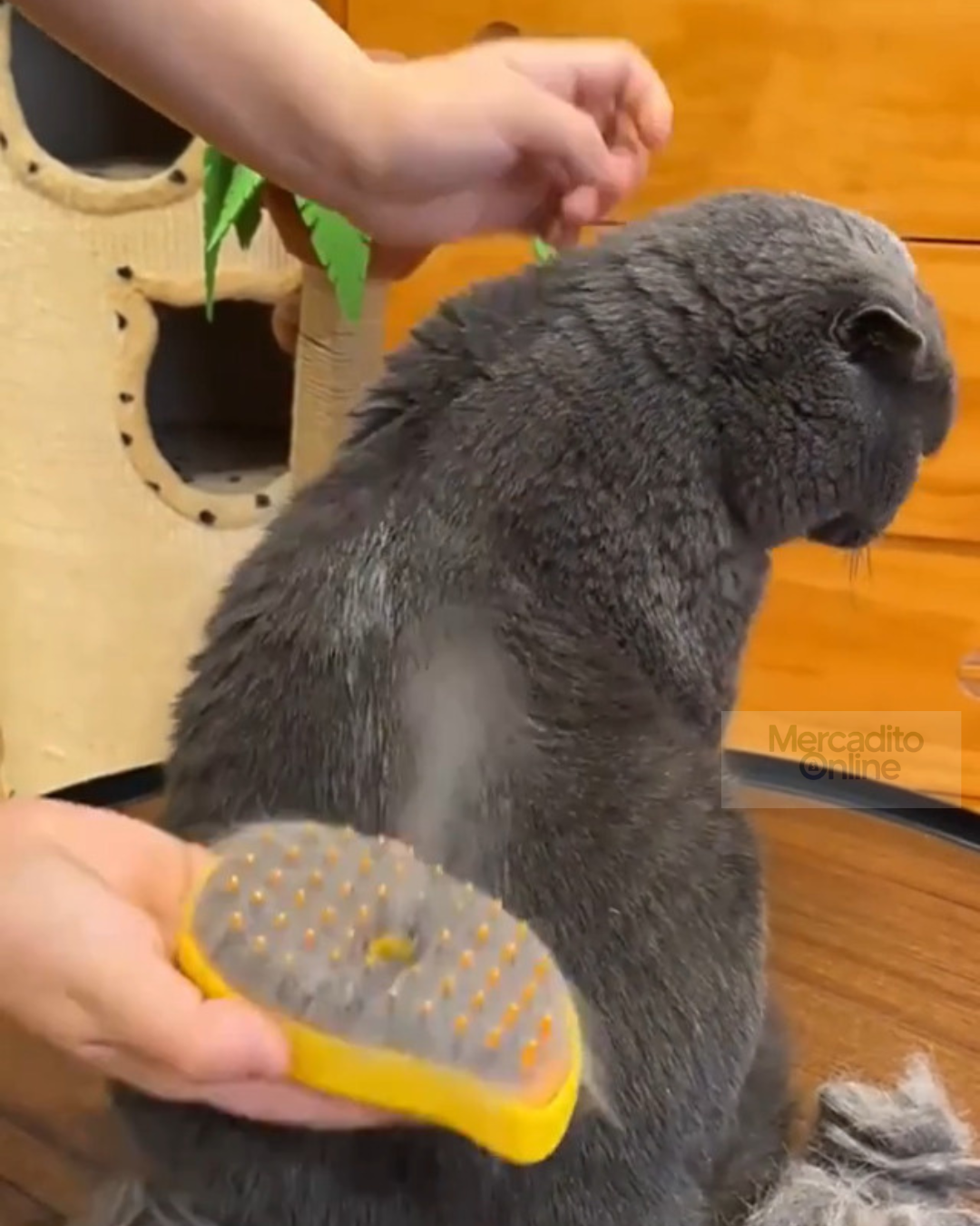 Cepillo de vapor 3 en 1 para mascotas